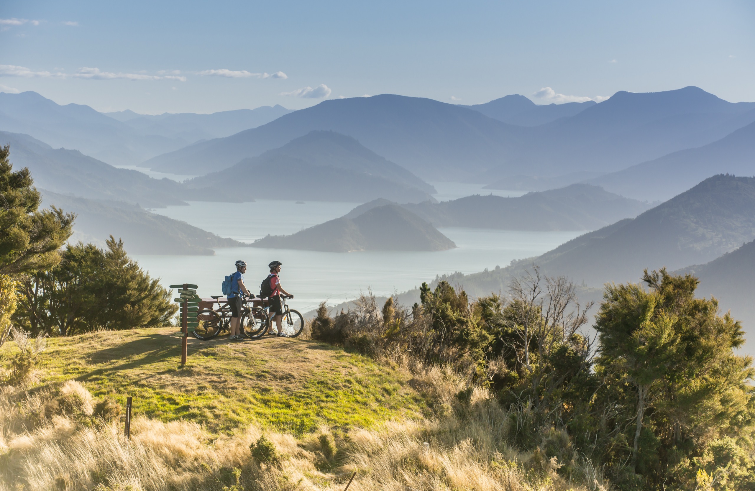 New Zealand Landscape